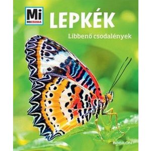 Lepkék - Mi MICSODA