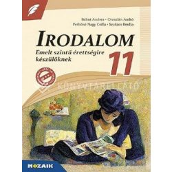   Irodalom 11. - Emelt szintű érettségire készülőknek MS-3341U
