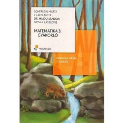 Matematika 3. gyakorló