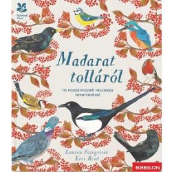   Madarat tolláról - 10 madármodell részletes ismertetővel - Kiapattintható oldalakkal