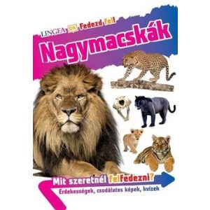 Nagymacskák - Fedezd fel!