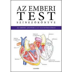  Az emberi test színezőkönyve - ISMERD MEG AZ EMBERI ANATÓMIÁT A SZÍNEZÉS RÉVÉN!