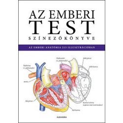   Az emberi test színezőkönyve - ISMERD MEG AZ EMBERI ANATÓMIÁT A SZÍNEZÉS RÉVÉN!