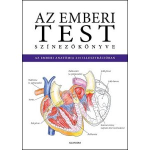Az emberi test színezőkönyve - ISMERD MEG AZ EMBERI ANATÓMIÁT A SZÍNEZÉS RÉVÉN!