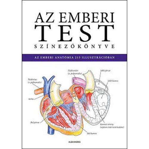 Az emberi test színezőkönyve - ISMERD MEG AZ EMBERI ANATÓMIÁT A SZÍNEZÉS RÉVÉN!