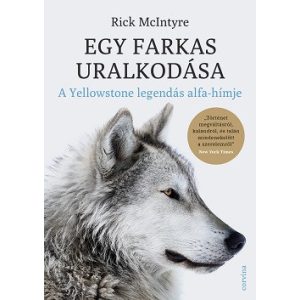 Egy farkas uralkodása - A Yellowstone legendás alfa-hímje