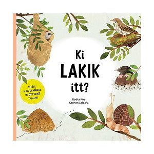 Ki lakik itt? - Segíts a kis csigának új otthont találni!