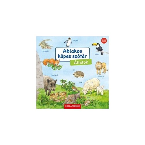 Ablakos képes szótár - Állatok