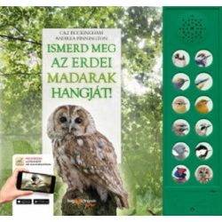 Ismerd meg az erdei madarak hangját