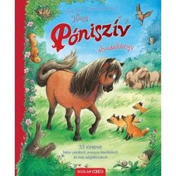 Nagy Póniszív - olvasókönyv