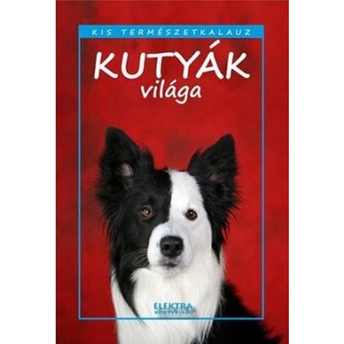 Kutyák világa