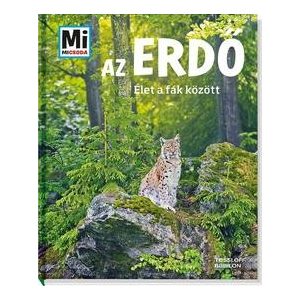 Az erdő - Élet a fák között