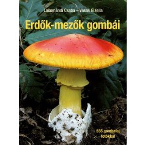 Erdők-mezők gombái