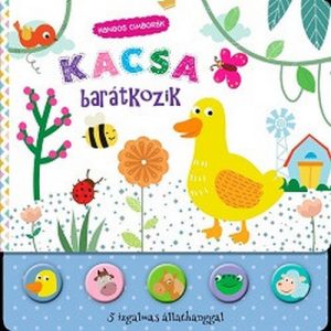 Hangos cimborák - Kacsa barátkozik