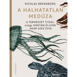   A halhatatlan medúza - A természet titkai, avagy hogyan éljünk akár száz évig