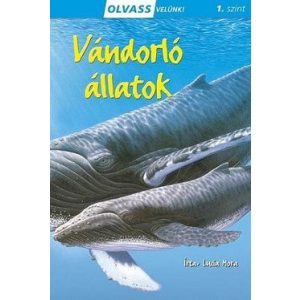 Vándorló állatok - Olvass velünk! 1. szint