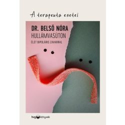   Hullámvasúton - Élet bipoláris zavarral /A terapeuta esetei