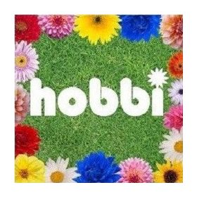 Hobbi, szabadidő